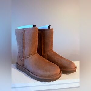 UGG Classic Short II Chestnut (7)